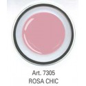 COLOR GEL ROSA CHIC