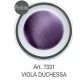 COLOR GEL VIOLA DUCHESSA