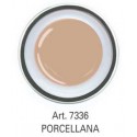 COLOR GEL PORCELLANA