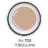 COLOR GEL PORCELLANA