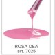 Smalto gel Rosa dea